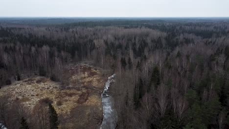 Aerial-drone-view-of-thick-forest-in-late-autumn-with-a-frozen-river-going-through-it
