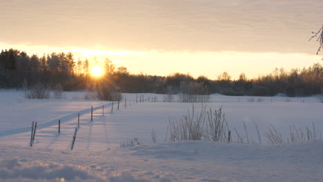 Rural-landscape-with-snow-covered-field-during-early-sunrise,-motion-shot