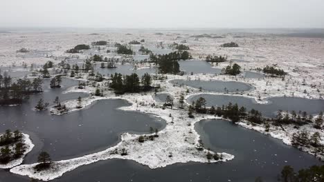Aerial-drone-view-of-frozen-bog-lake-landscape
