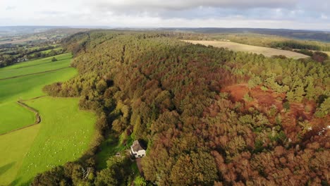 Aerial-Flying-View-Over-Autumnal-Woodland-Forest-Next-To-Green-Fields-In-East-Hill-Devon