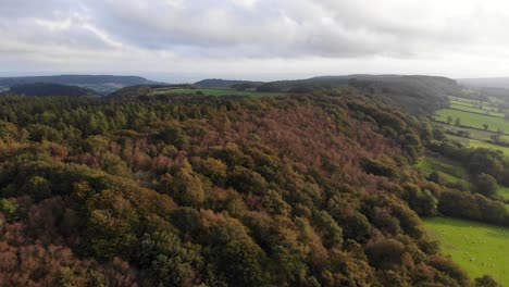 Aerial-Over-Sunlit-Fall-Woodland-Forest-Next-To-Green-Fields-In-East-Hill-Devon