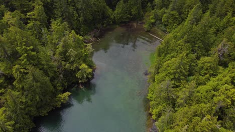 A-beautiful-drone-shot-of-the-ocean-shore-against-the-forest,-green-trees-and-blue-water-shot-from-the-top-down
