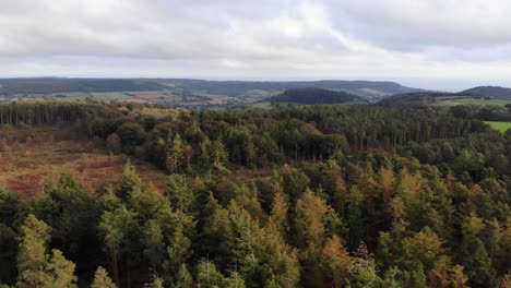 Aerial-Flying-Over-Fall-Woodland-Forest-With-Clearing-In-Middle-At-East-Hill-In-Devon