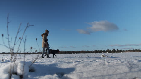 Junge-Frau-Geht-Mit-Ihrem-Hund-Im-Schnee-Spazieren