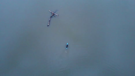 Aerial-Birds-Eye-view-of-Blue-Paddieboard-and-Paddleboarder-passing-by-driftwood