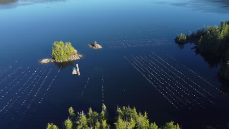 Aquaculture-in-British-Columbia-Canada,-a-oyster-farm-in-the-ocean-on-the-West-Coast-of-Vancouver-Island