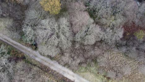 Aerial-drone-footage-flying-forward-over-fields,-a-remote-single-track-road,-a-native-broadleaf-woodland-canopy,-a-river-and-a-remote-Scottish-bothy-in-winter