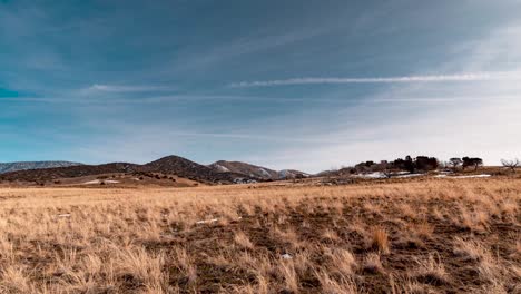 Domestic-sheep-grazing-on-their-winter-range-in-the-foothills---static-wide-angle-time-lapse