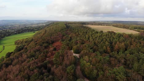 Aerial-Flying-View-Fall-Woodland-Forest-Next-To-Green-Fields-In-East-Hill-Devon