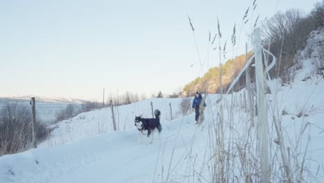 Backpacker-With-His-Adorable-Dog-Walking-On-Snowscape-At-Daytime
