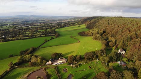 Aerial-Flying-View-Over-Green-Farm-Fields-Next-To-Autumnal-Woodland-Forest
