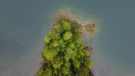 El-Océano-Se-Encuentra-Con-El-Bosque-En-Las-Costas-De-La-Columbia-Británica-Canadá,-Las-Aguas-Azules-Y-Los-árboles-Verdes-Contrastan