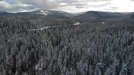Lufttransportwagen-In-Großer-Höhe-über-Mt.-Hood-National-Forest-Im-Winter,-Oregon,-USA