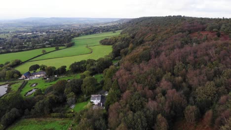Aerial-Flying-View-Over-Woodland-Forest-Next-To-Green-Fields-In-East-Hill-Devon