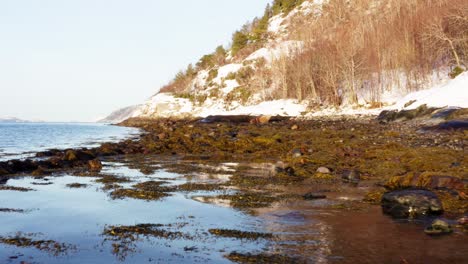 Seaweeds-Washed-Ashore-On-Rocky-Coast.---aerial
