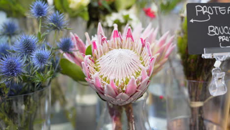 Pink-protea-flower-on-the-counter-of-a-flower-shop
