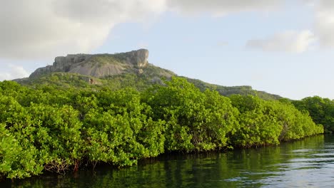 Der-Epische-Tafelberg-Auf-Der-Karibischen-Insel-Curacao-Mit-Einem-Von-Mangroven-Gesäumten-Fluss-Im-Vordergrund