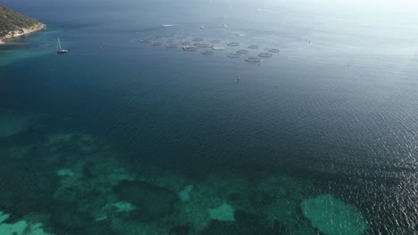 Aerial-establishing-shot-of-huge-sea-bass-and-sea-bream-growing-farm-with-net-cages-for-seafood-in-the-Mediterranean