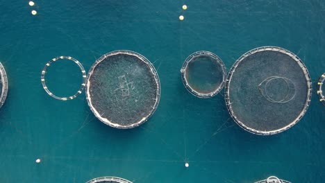 Aerial-top-down-trucking-shot-of-huge-fish-growing-farm-with-net-cages-for-sea-bass,-sea-bream,-and-other-seafood-species
