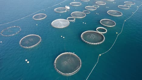 Aerial-fast-orbit-shot-of-net-cages-for-sea-bass,-sea-bream,-and-other-seafood-species-in-the-huge-fish-farm-in-the-Mediterranean