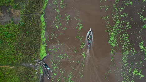 Lancha-Navegando-Por-El-Agua-Del-Río-Amazonas-Y-La-Exuberante-Vegetación-De-La-Selva---Vista-Aérea-De-Arriba-Hacia-Abajo