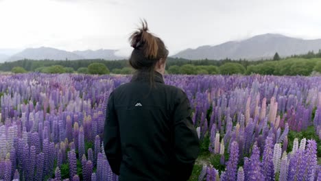 A-girl-walking-through-a-beautiful-field-of-purple-Flowers-with-mountains-in-the-background-on-a-cloudy-day
