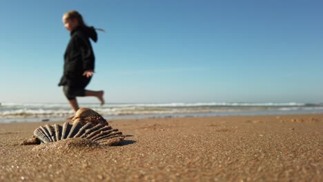 Sea-shell-on-sand-beach-and-running-girl-or-child-in-background,-closeup-view