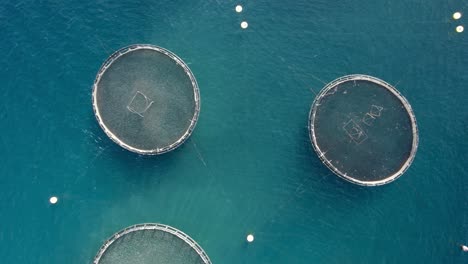 Aerial-top-down-trucking-shot-of-net-cages-for-sea-bass,-sea-bream,-and-other-seafood-species-in-the-huge-fish-farm-in-the-Mediterranean