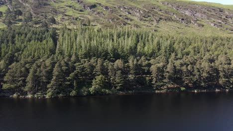Drone-shot-of-a-mountain-lake-with-trees-on-it's-shore