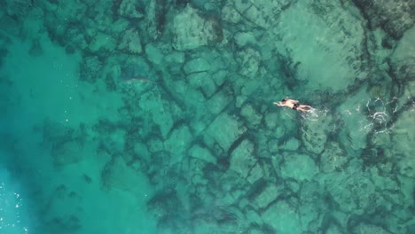 Person-swims-with-sharks-drone-shot-in-Hadera,-Israel