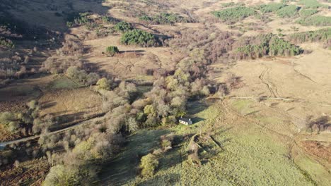 Slow-aerial-drone-footage-descending-towards-native-woodland-in-winter-focusing-on-a-remote-Scottish-Bothy-,-fields,-long-shadows-and-a-forested-hillside-in-the-sunshine