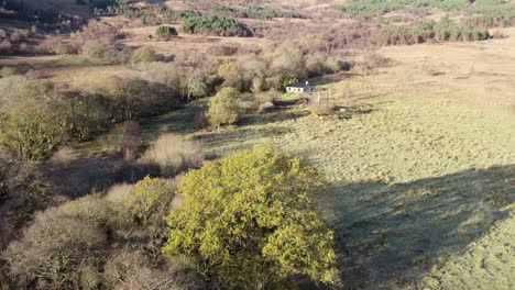 Aerial-drone-footage-rising-slowly-from-behind-an-old-oak-tree-in-winter-to-reveal-a-remote-Scottish-Bothy-,-fields,-long-shadows-and-a-forested-hillside-in-the-sunshine