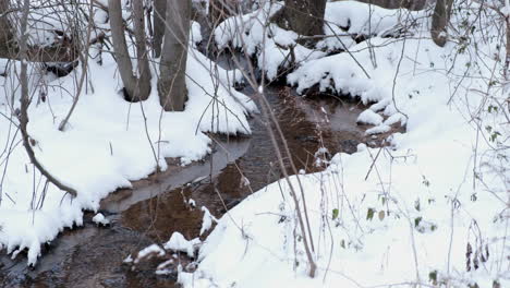 Snow-covered-creek-in-the-forest