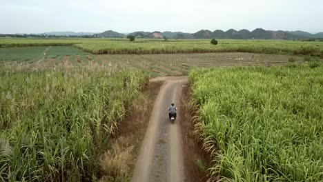 Aerial-Shot-of-Motorcyclist-riding-through-field,-Central-Highlands-region,-Vietnam,-Clear-skies,-mountain-range-in-background