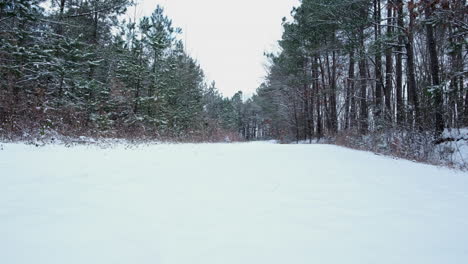 Snow-covered-dirt-road-or-path-in-the-forest