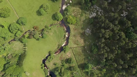 Drone-shot-of-a-river-flowing-through-green-fields-and-a-forest