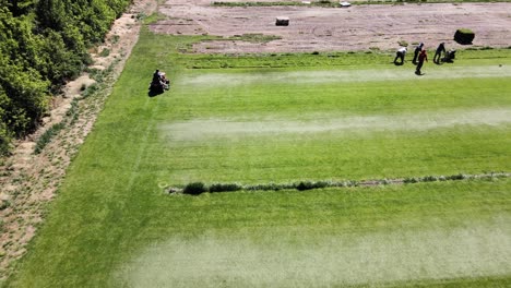 Farm-workers-harvest-green-grass-with-the-help-of-a-lawn-mower-on-a-sunny-day,-Panes-General-Roca---aerial-shot