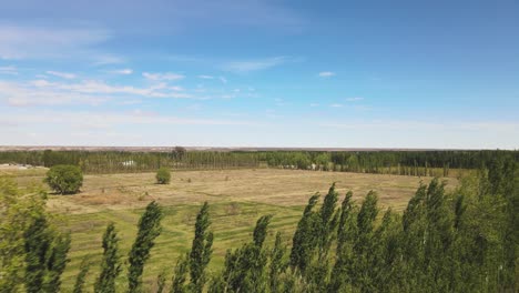 The-process-of-urbanization-on-a-green-plain-surrounded-by-tree-alleys-on-a-sunny-day-with-a-blue-sky,-Neuquen---aerial-drone-shot