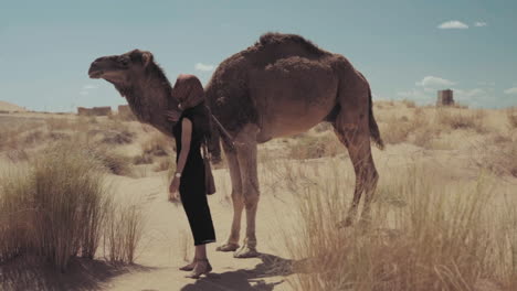 Touristic-camel-rides-in-the-desert,-arabian-woman-standing-next-to-a-dromedary-while-caressing-it,-establishing-shot