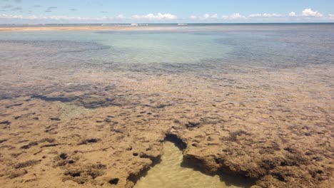 Tilt-up-view-of-the-corals-in-the-sea-bed-on-a-low-tide-on-a-bright-sunny-day