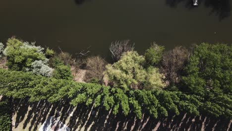 Drohnenflug-über-Den-Schwarzen-Fluss-In-Einer-Ländlichen-Landschaft-Mit-Bäumen-Und-Vegetation-Und-Einem-Ruhigen-Sonnigen-Tag---Vogelperspektive
