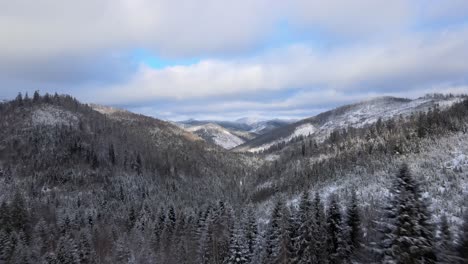 Picturesque-Aerial-of-Undisturbed-Ukraine-Forest-in-Snowy-Mountains