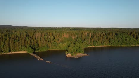 Aerial-view-of-a-forest-meeting-the-water-at-a-Swedish-lake-during-a-warm-summer-night