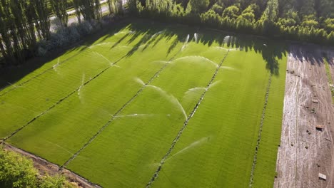 Automatic-sprinklers-spraying-water-on-a-grass-farm-for-sale,-Panes-General-Roca---aerial-shot