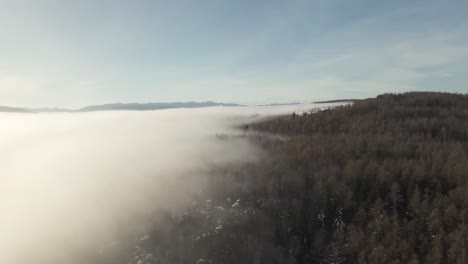 Hermosa-Escena-De-Nubes-Sobre-El-Bosque-En-Las-Montañas-De-Ucrania---Antena