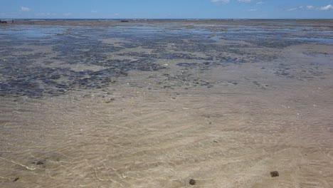 Static-view-over-the-shallow-sea-floor-at-low-tide