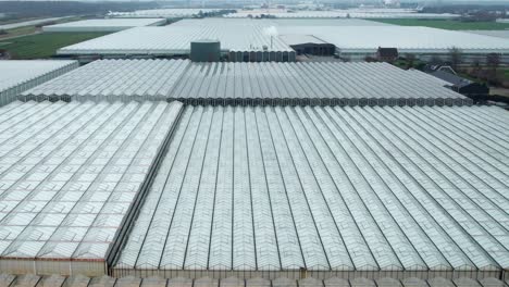 Drone-reveals-an-illuminated-large-commercial-greenhouse-on-the-Dutch-landscape