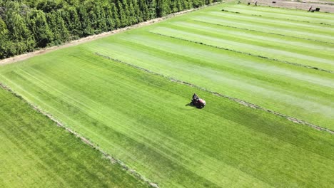 A-worker-riding-a-lawn-mower-harvests-the-grass-on-a-grass-farm,-Panes-General-Roca---aerial-shot