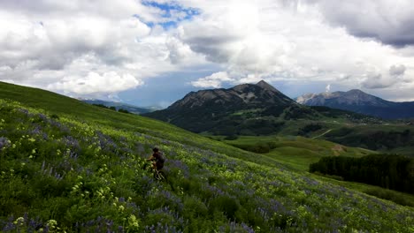 Female-MTB-rider-on-mountain-slope-surrounded-by-wildflowers
