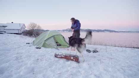 Man-Putting-Rope-Leash-On-Alaskan-Malamute-During-Their-Camping-Trip
